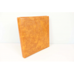 ALBUM SAFE FRANCE DE 2008-2009 POUR RANGER UNE COLLECTION DE TIMBRES