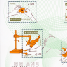 FRANCE ANNÉE 2025 BLOC-FEUILLET "55 ANS IMPRIMERIE" TIMBRES NEUFS** LUXE