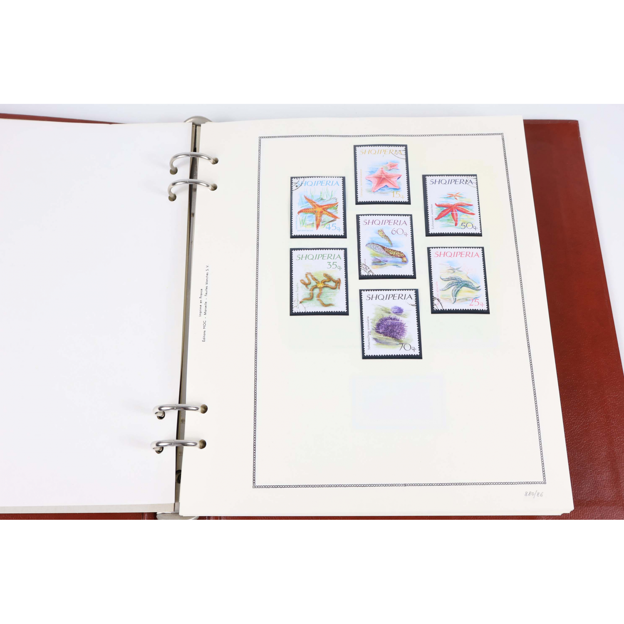 COLLECTION DE TIMBRES THÉMATIQUE FAUNE AQUATIQUE DIVERS PAYS DU MONDE, ALBUM MOC