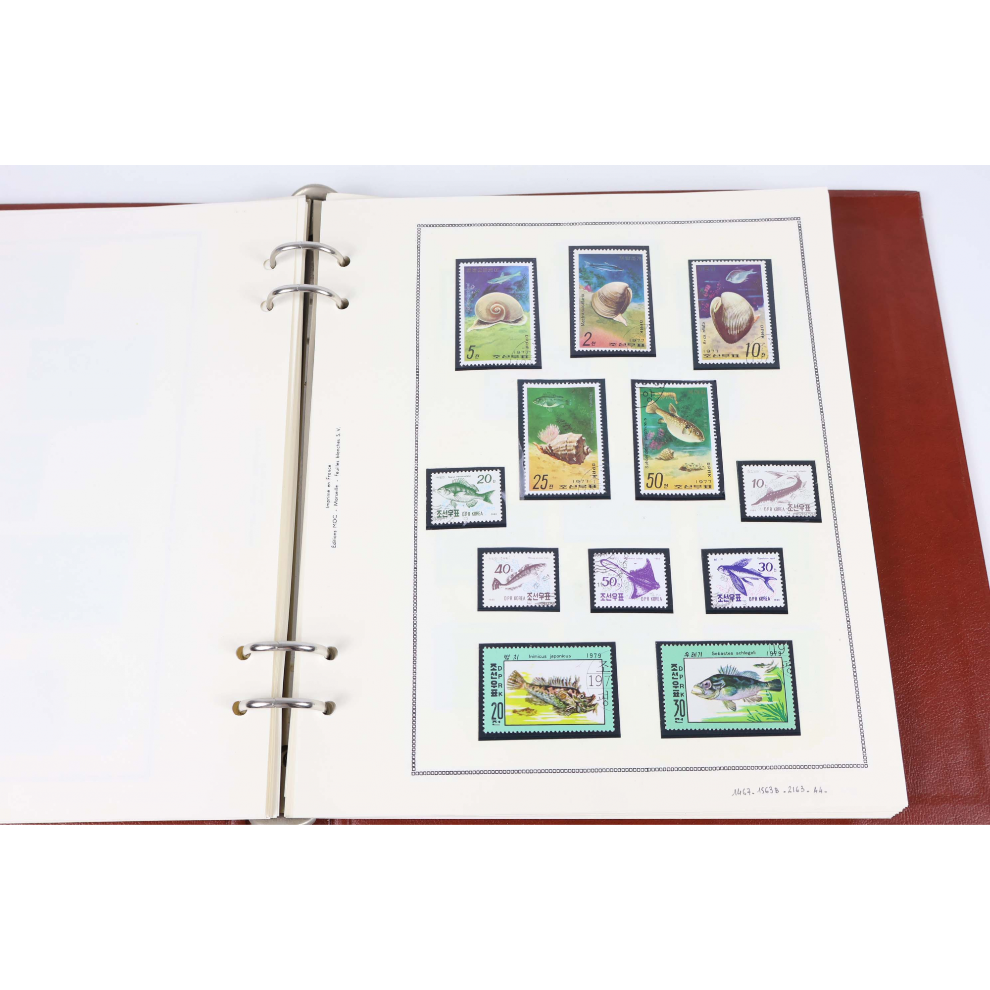 COLLECTION DE TIMBRES THÉMATIQUE FAUNE AQUATIQUE DIVERS PAYS DU MONDE, ALBUM MOC