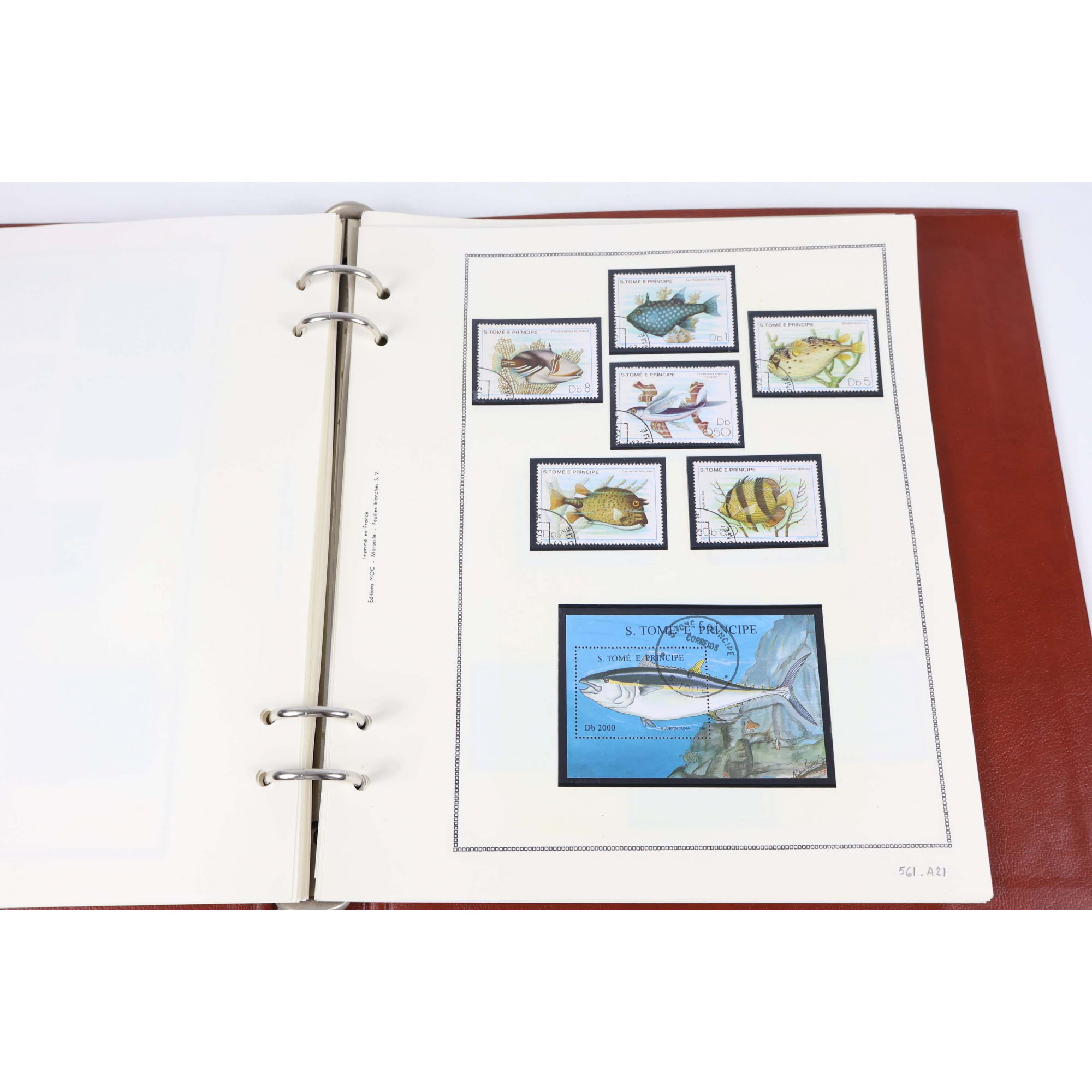 COLLECTION DE TIMBRES THÉMATIQUE FAUNE AQUATIQUE DIVERS PAYS DU MONDE, ALBUM MOC