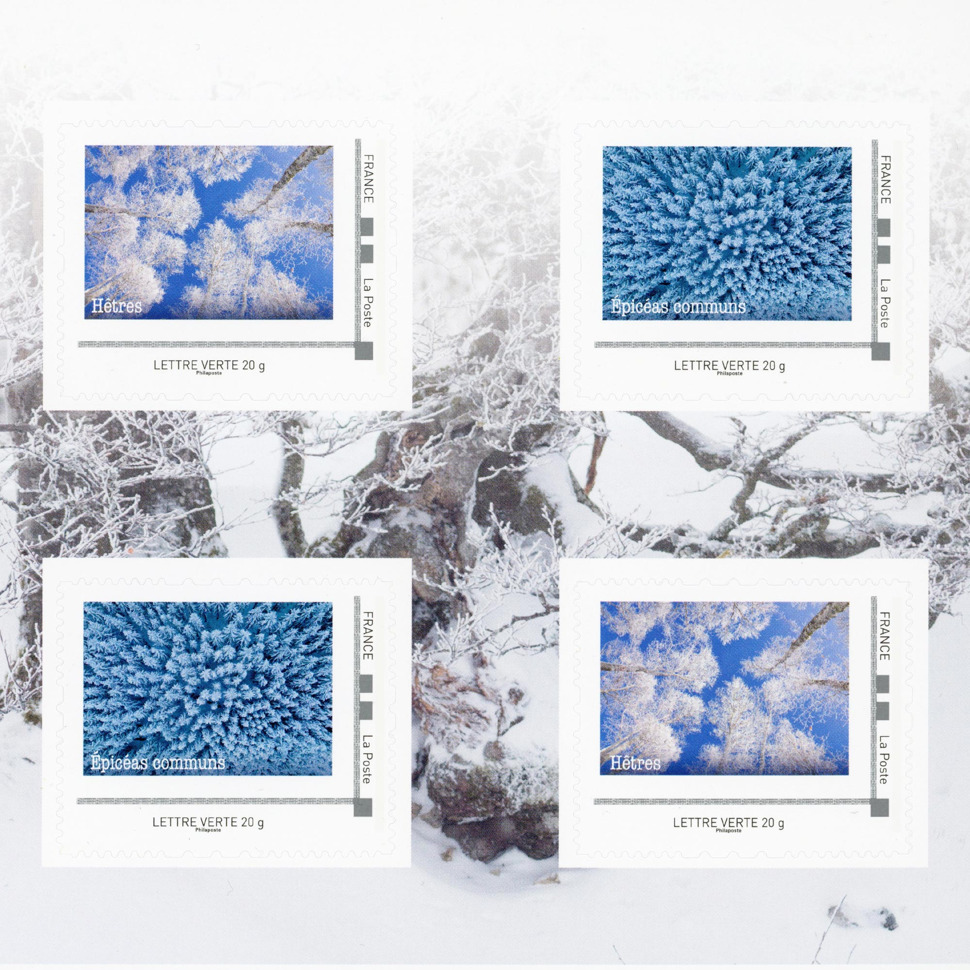 FEUILLET COLLECTOR N°COL498 "LES ARBRES D'HIVER" TIMBRES FRANCE ANNÉE 2023