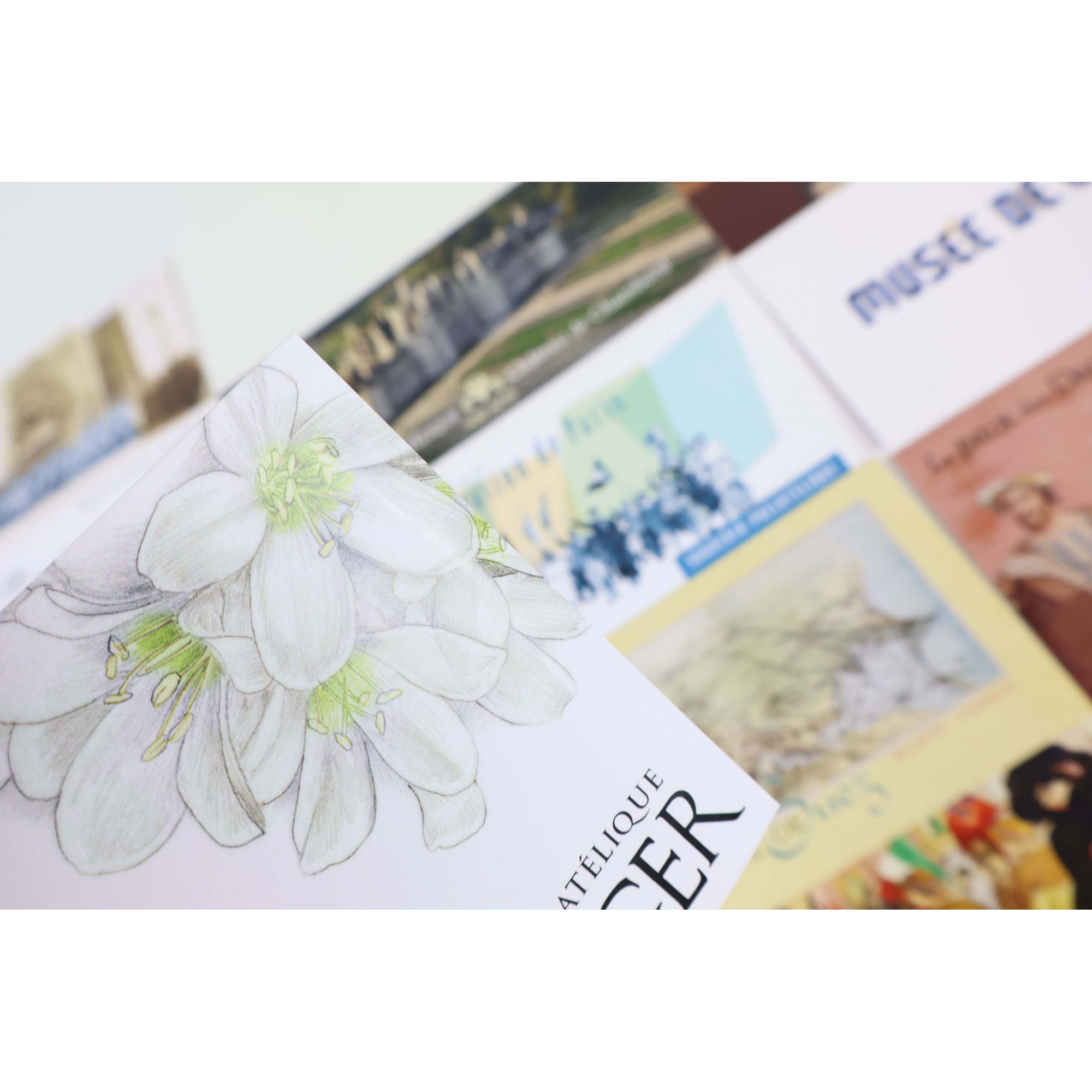 FRANCE COLLECTION BLOCS SOUVENIRS 2019 ANNÉE COMPLÈTE N° 151 A 163 TIMBRES NEUFS
