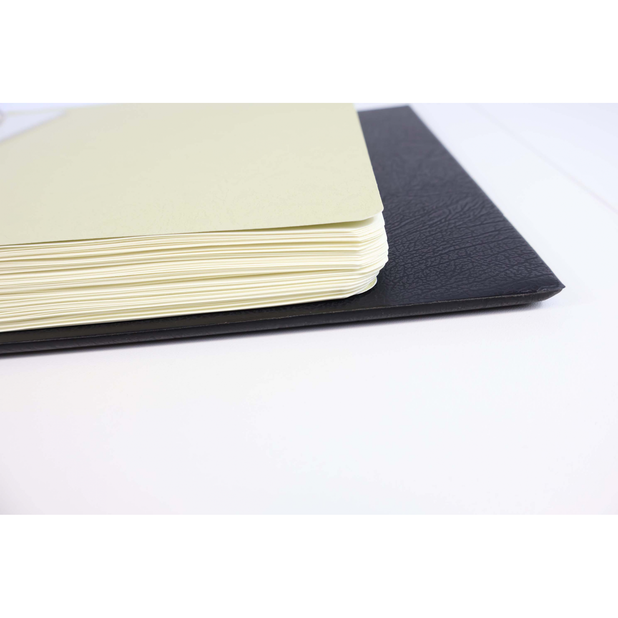 CLASSEUR LEUCHTTURM POUR RANGER LES TIMBRES DE FRANCE DE 2016 ET 2017 COMPLET
