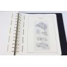 CLASSEUR LEUCHTTURM POUR RANGER COLLECTION DE TIMBRES DE FRANCE DE 2007 À 2009