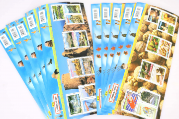 Blocs Feuilles Timbres Poste France Moderne lots et stocks