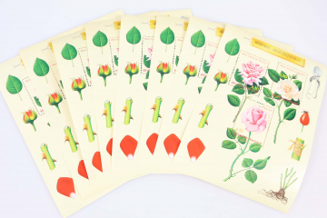 LOTS-TIMBRES-EN-FRANCS-BLOCS-OU-CARNETS